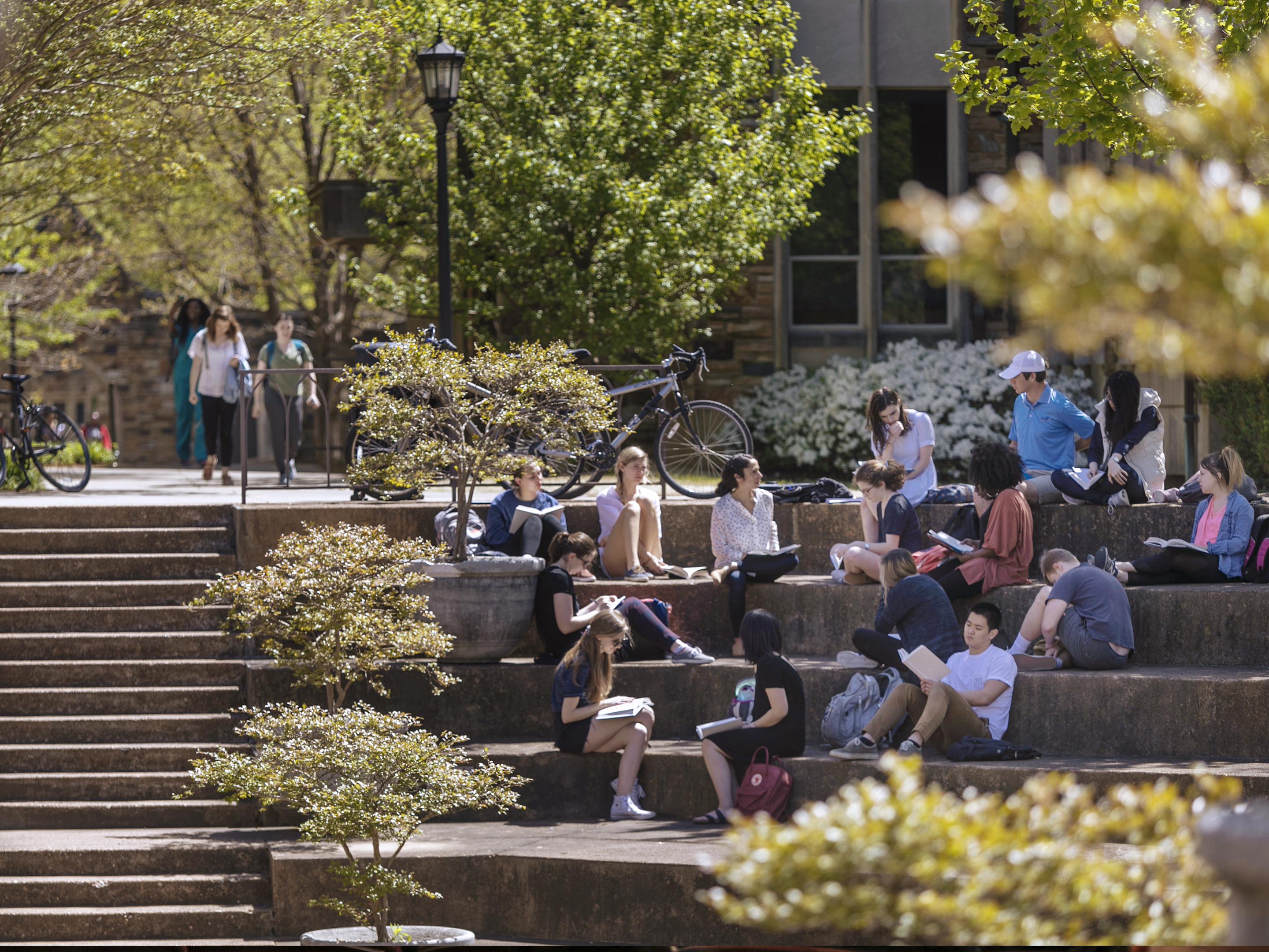 Students seated in an amphitheater on rhodes campus