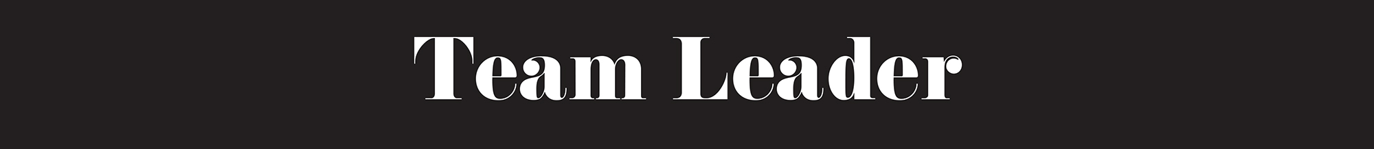 Team Leader Level
