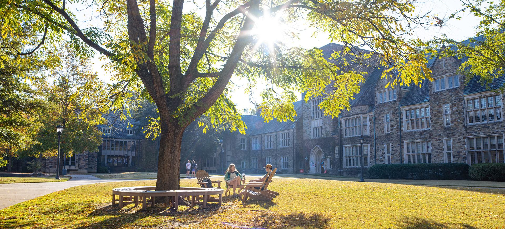 two students study outside on a fall day