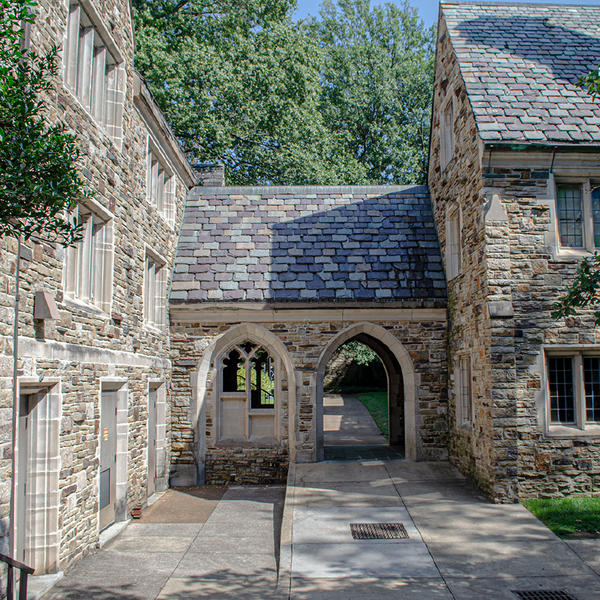 Whiteball court