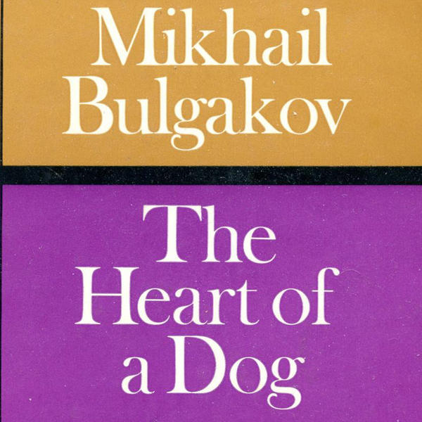 Heart of a Dog Book Cover