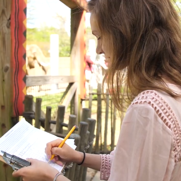 A young woman with a clipboard takes notes as African elephants mill about in front of her.
