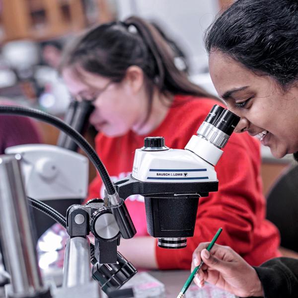 Students in the neuroscience lab at Rhodes