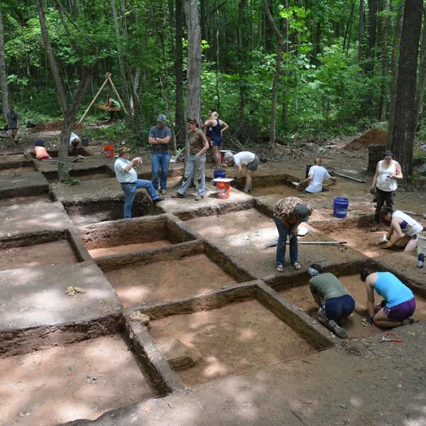 Field researchers at a dig in the forest.