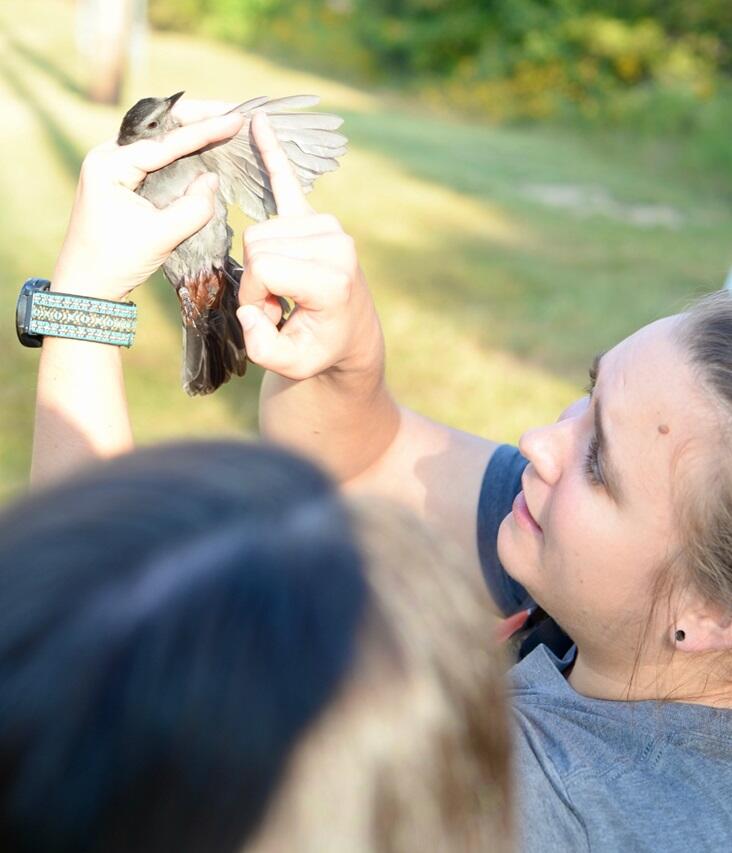 outdoor biology lesson about birds in early research