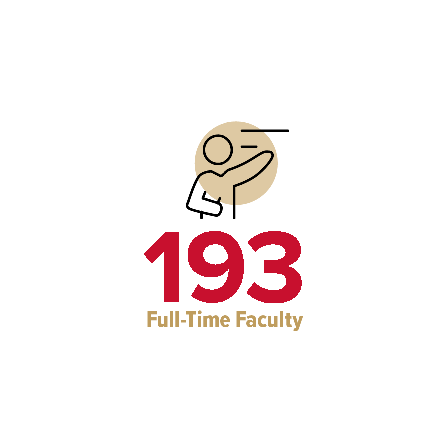 193 Full Time Faculty