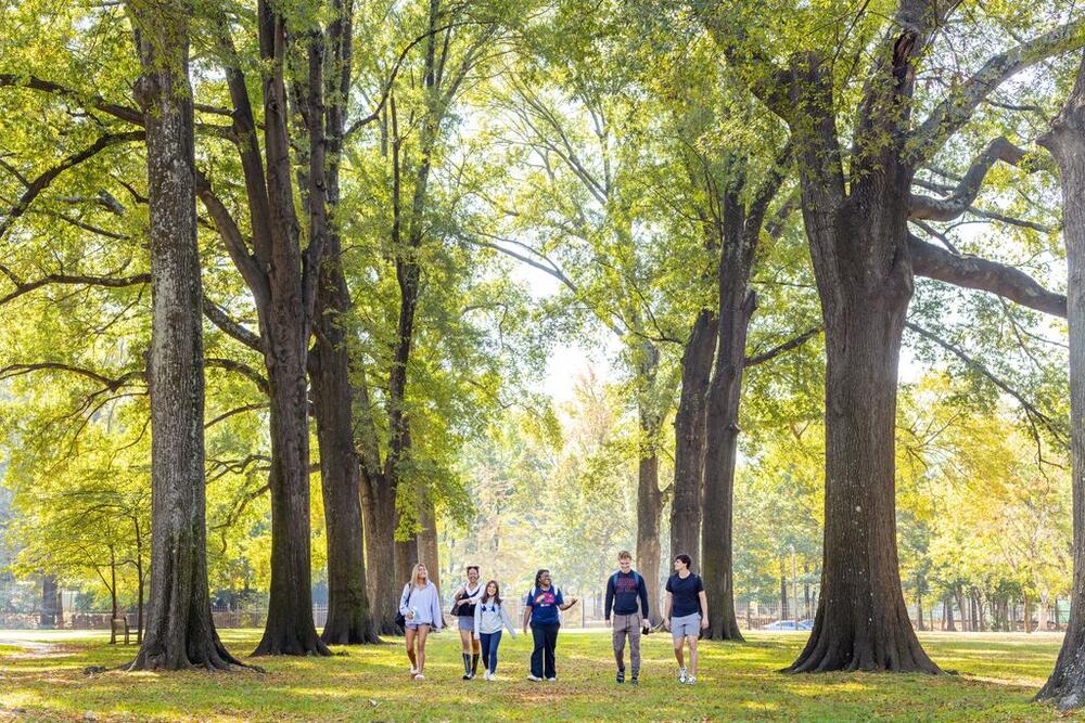 students walking on campus