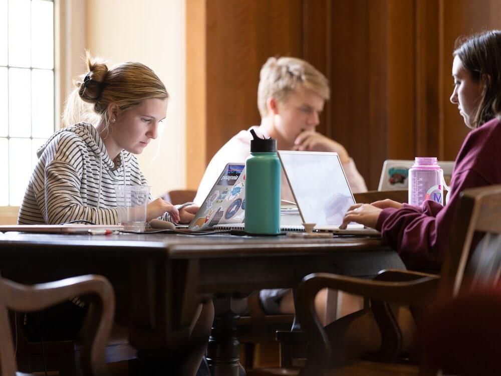 Students studying at library